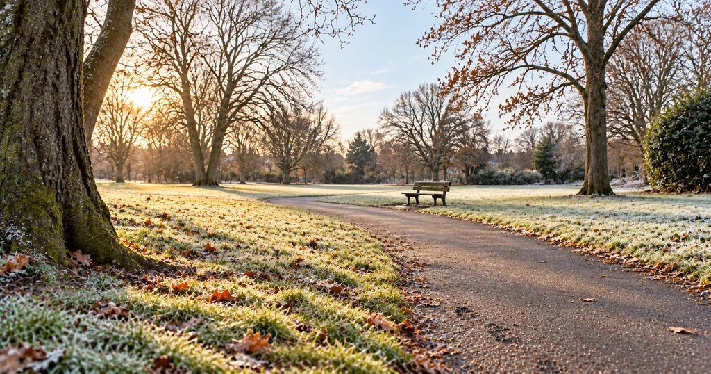 A frosty park path on a bright winter morning, low sun through bare trees and an empty bench